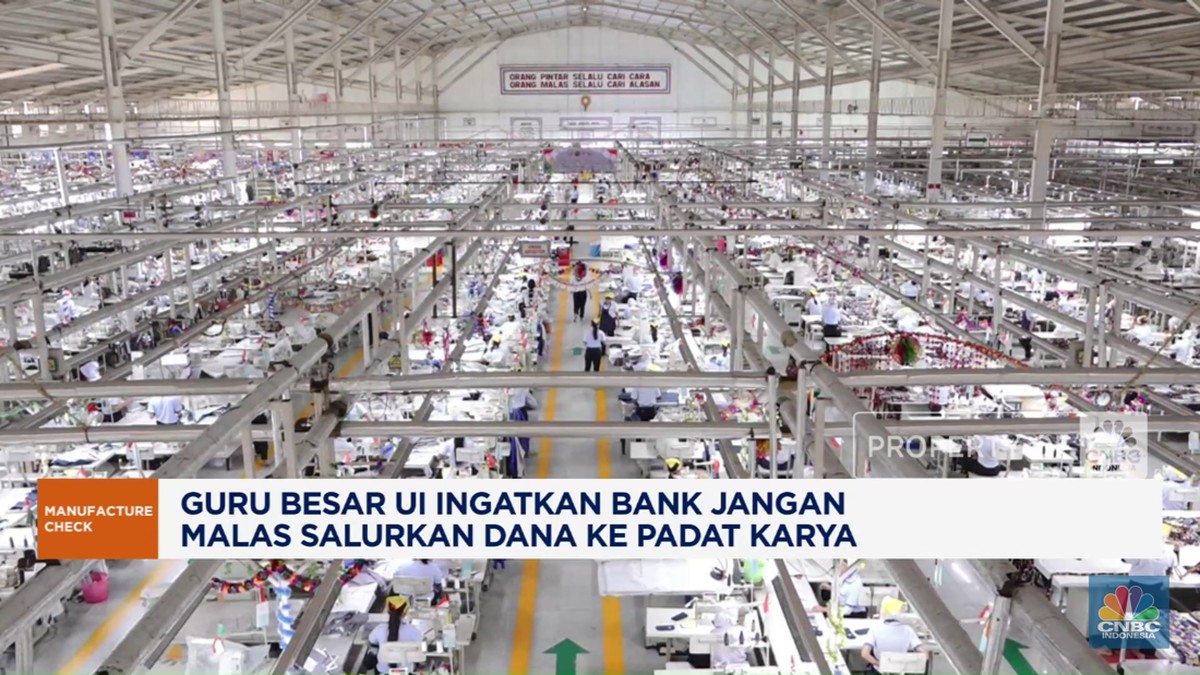Video: Ekonom Ingatkan Bank Jangan Malas Salurkan Dana ke Padat Karya