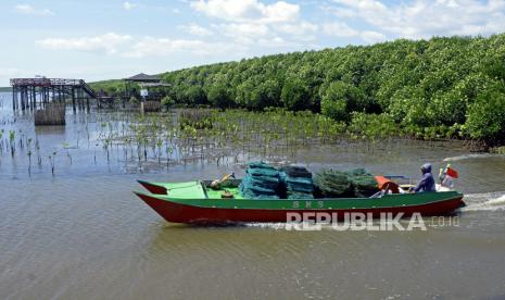 Mangrove Berperan Krusial Mitigasi Perubahan Iklim Global