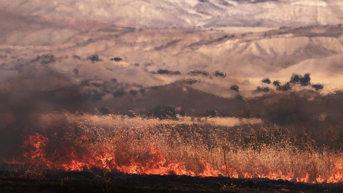 Saat Langit California AS Berubah Oranye, 49.000 Daratan Jadi Laut Api