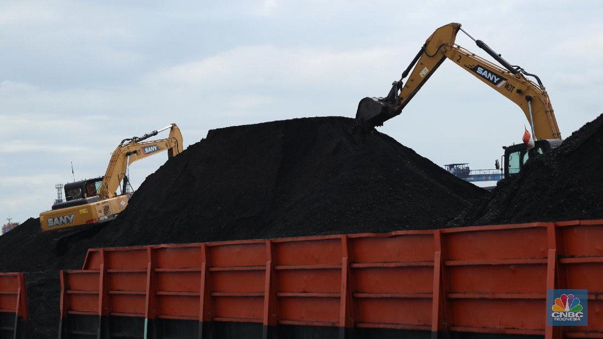 Tok! ESDM Tetapkan HBA Pertama di September US$ 105,33/Ton